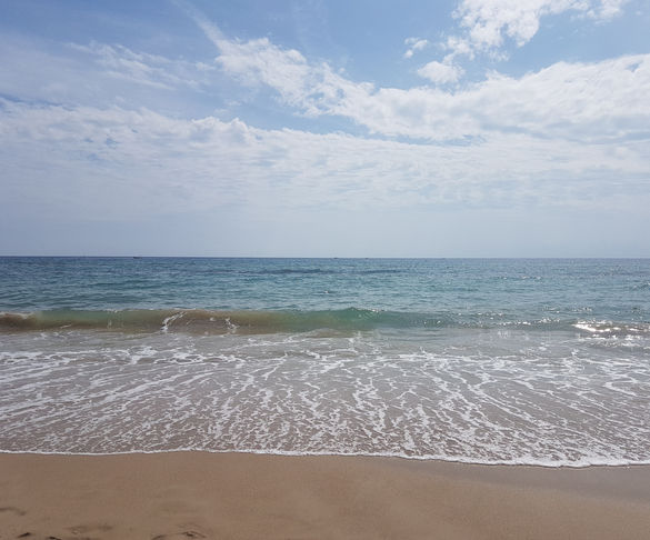 SOMNIS, PENSADES, DESITJOS... (fi d'estiu)