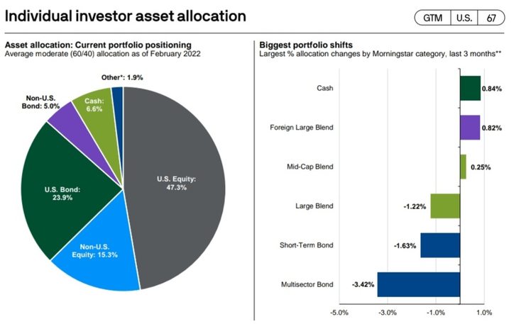 Individual investor asset allocation