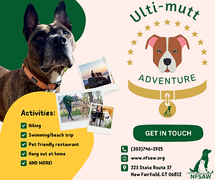 Ulti-mutt Adventure Facebook Post.png