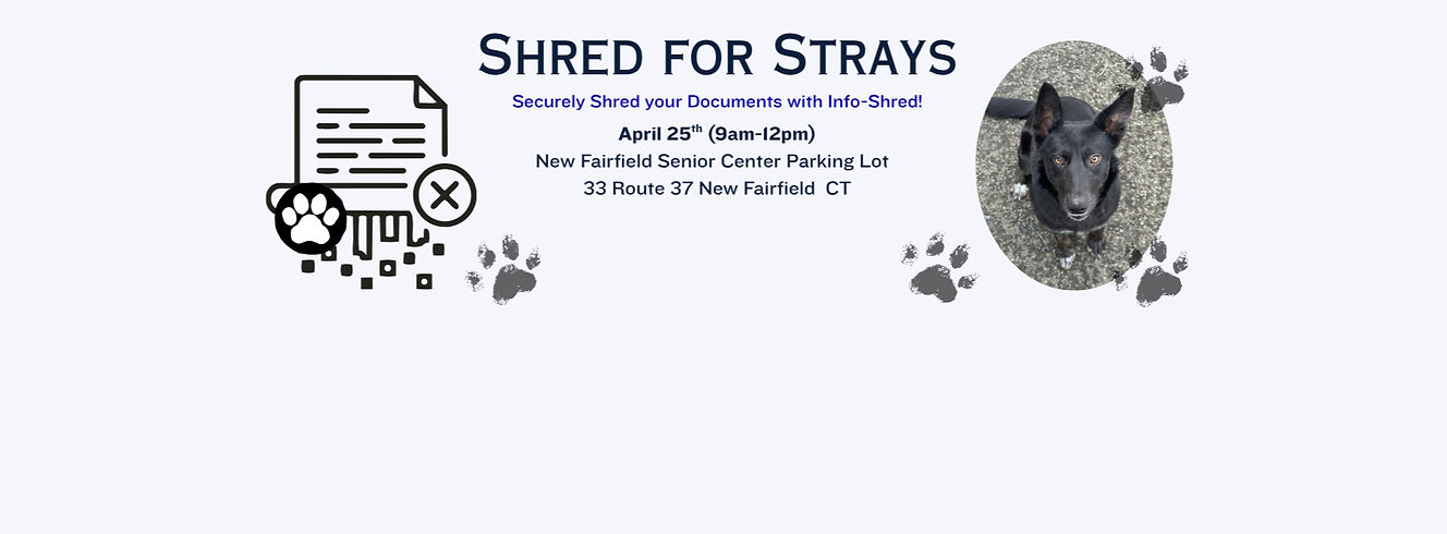 Shred For Strays 2026 Banner (2)_edited.jpg