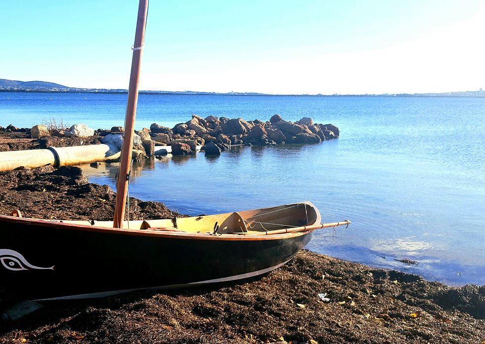 Acheter autour de Montpellier : ces communes qui attirent de plus en plus