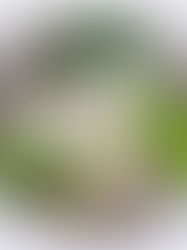 Three bowls with creamy ranch dressing on platter with fresh herbs.