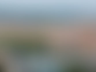 Lyon, France — Global Access International On-Site Regenerative Treatment Program