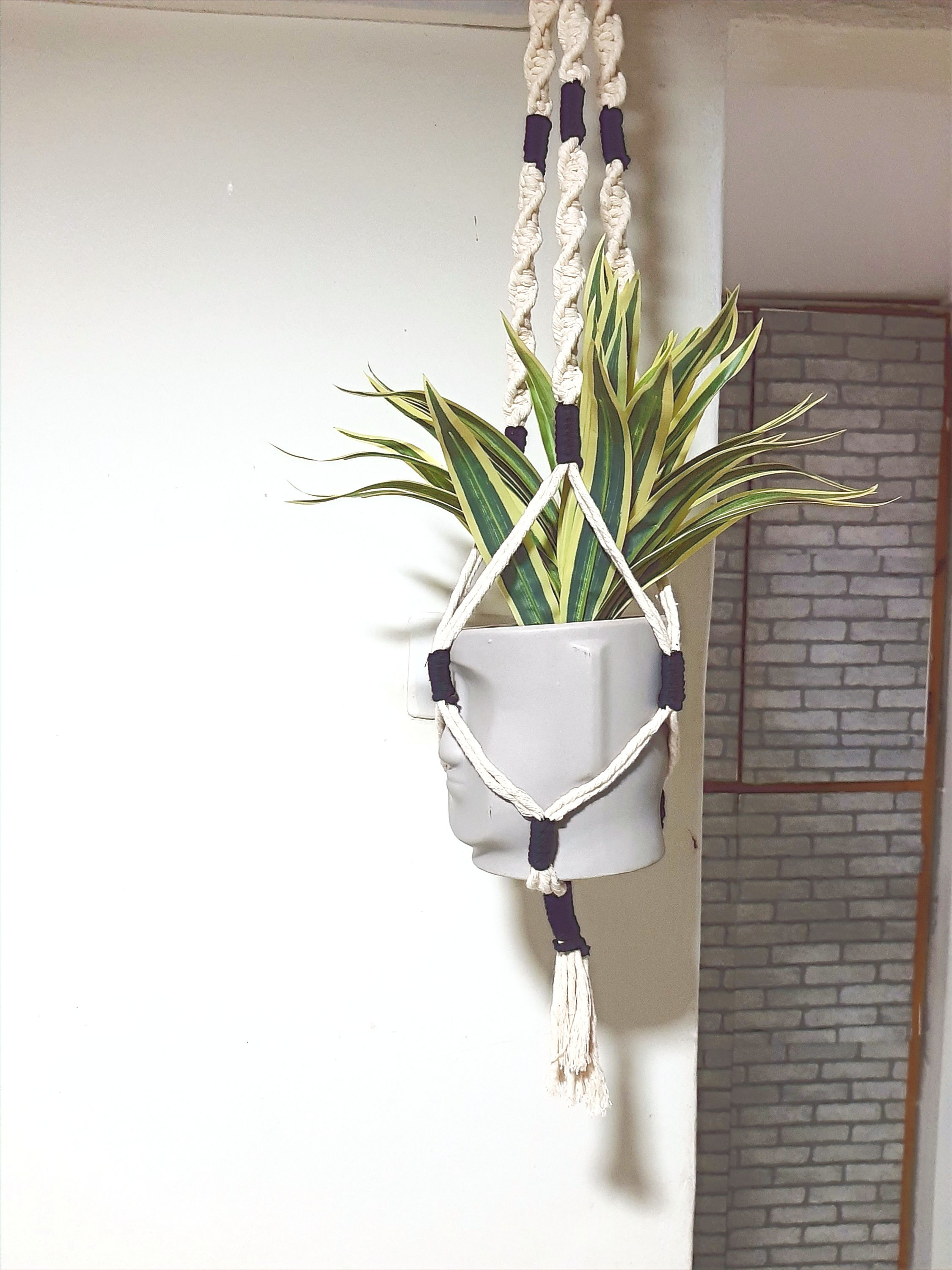 מתלה תקרה לעציץ