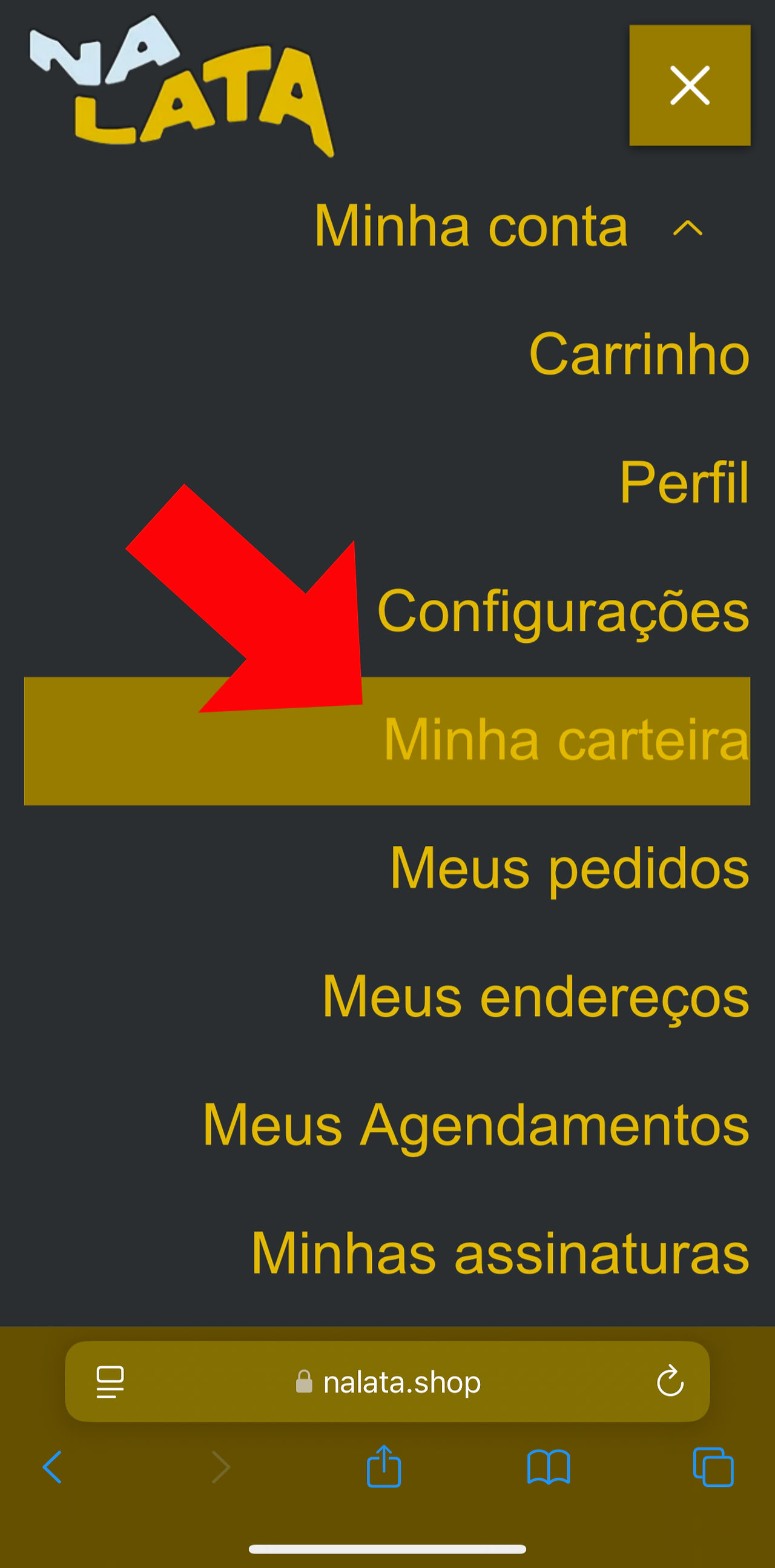 Foto de tela mobile da pagina inicial do Nalata.Shop com menu aberto