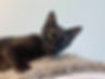 Chase_edited.jpg