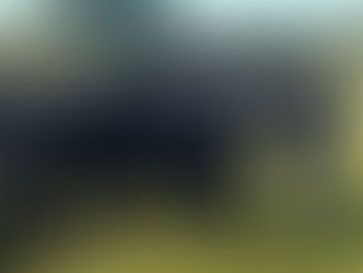 Review Op. Wildlands - AUY