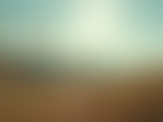 Soin locs invisibles : Guide complet pour un entretien optimal