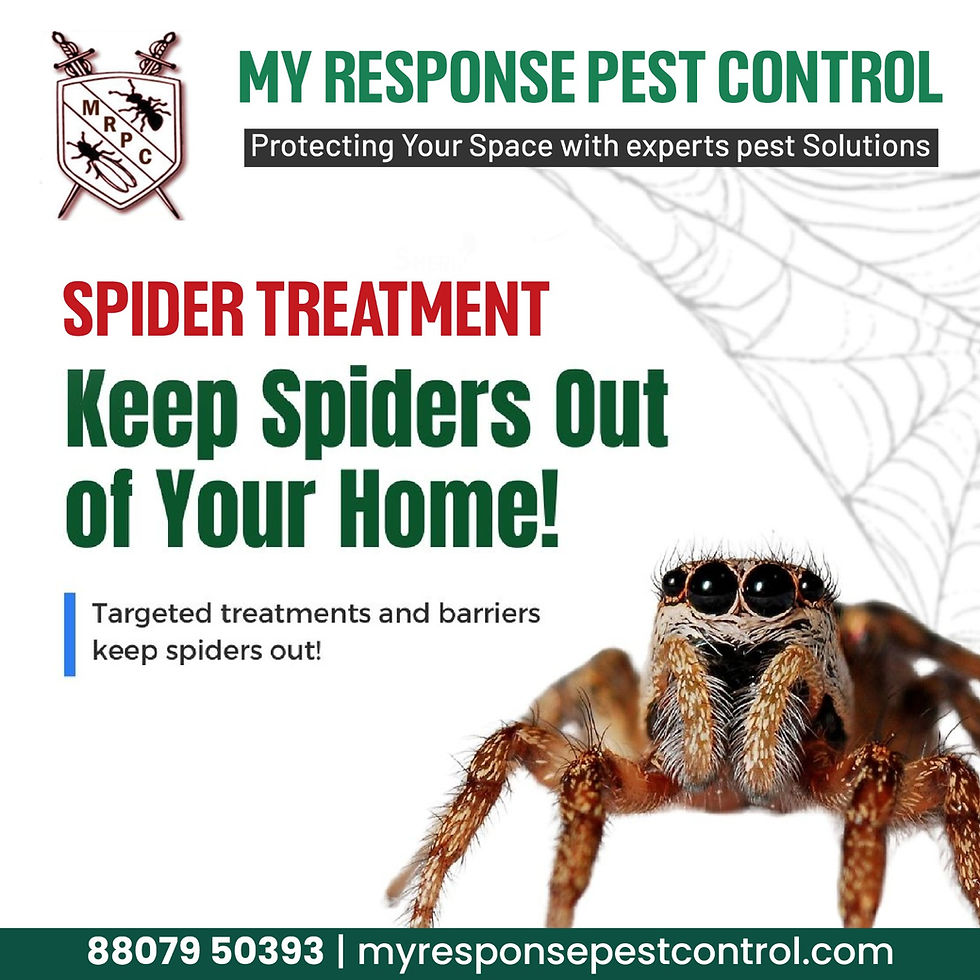 My Response Pest Control, Chennai