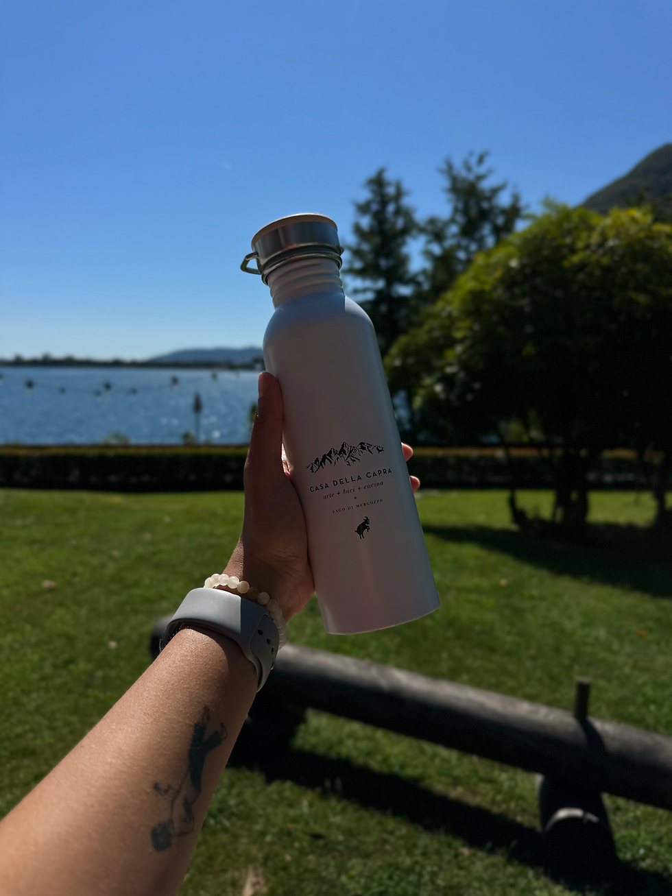 Thumbnail:  Stainless Steel Bottle