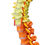 Thumbnail: Flexible Vertebrae with Color-Coded Regions