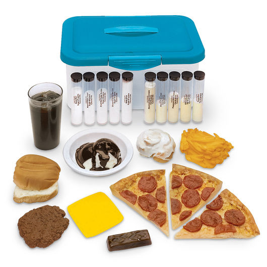 Life/form® Favorite Foods Replica Kit with Lipo-Visuals™