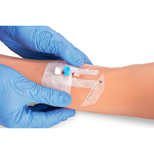 Thumbnail: Injection, Venipuncture, Cannulation, and Infusion Arm - Light