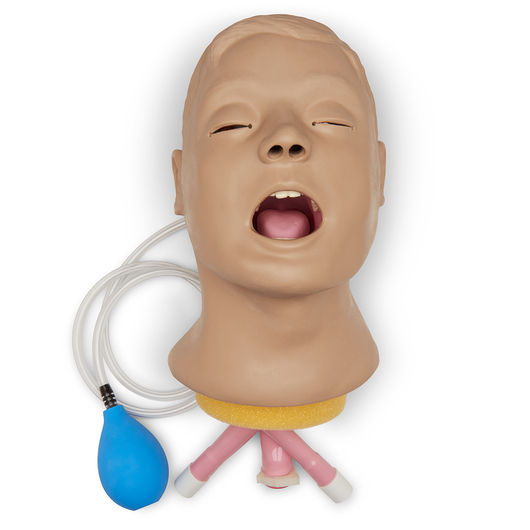 Life/form® Airway Larry Adult Airway Management Trainer Head