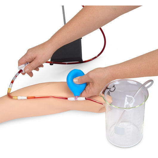 Thumbnail: Life/form® Arterial Puncture Arm - Light