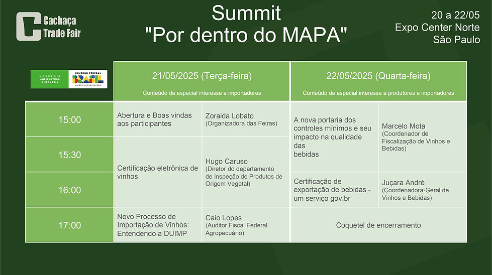 Sem título-1-03.jpg