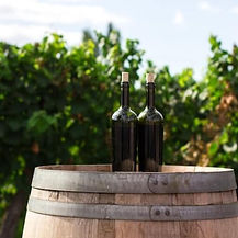 Produtores de vinho.jpg