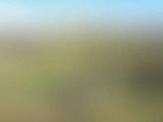 10 anos das feiras Wine São Paulo Trade Fair e Cachaça Trade Fair destacam enoturismo e turismo rural como eixos estratégicos do setor