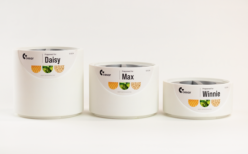 Screenshot 2025-01-16 181706.png