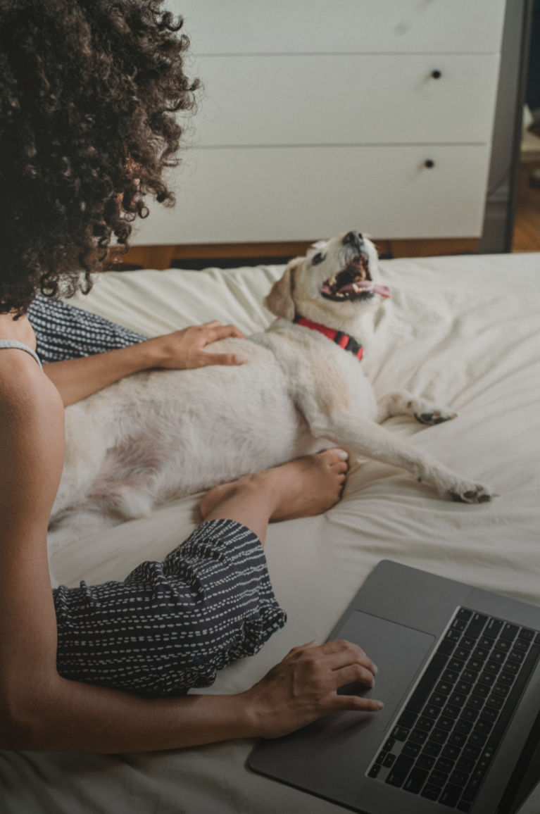 Screenshot 2024-12-26 142901_edited.jpg