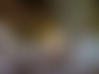 Thriving in Turbulent Times