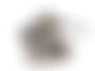 "What Are You Afraid Of? The Snaky Places of Life."