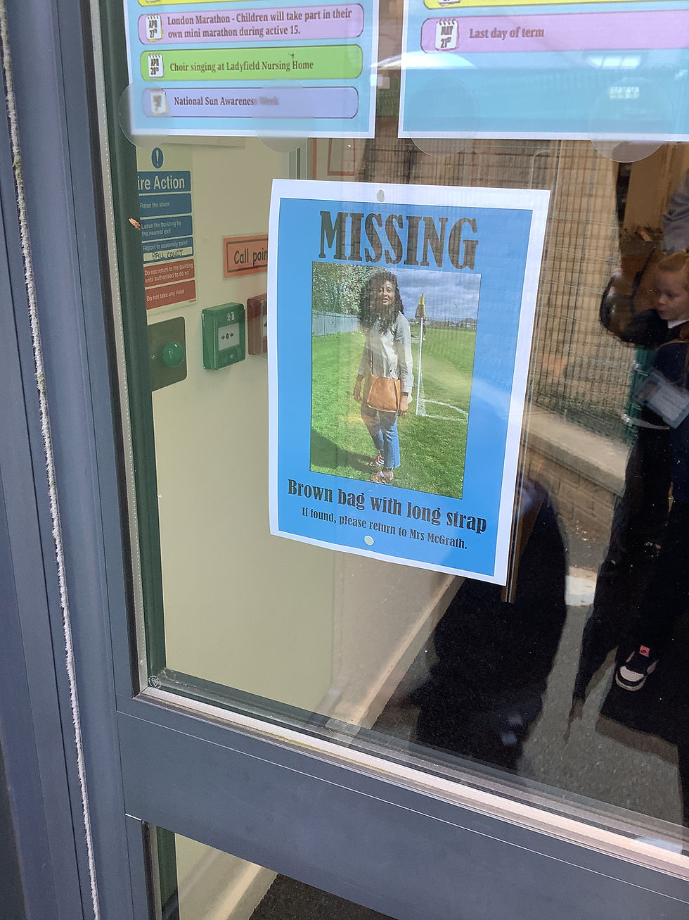 Mrs McGrath's missing handbag