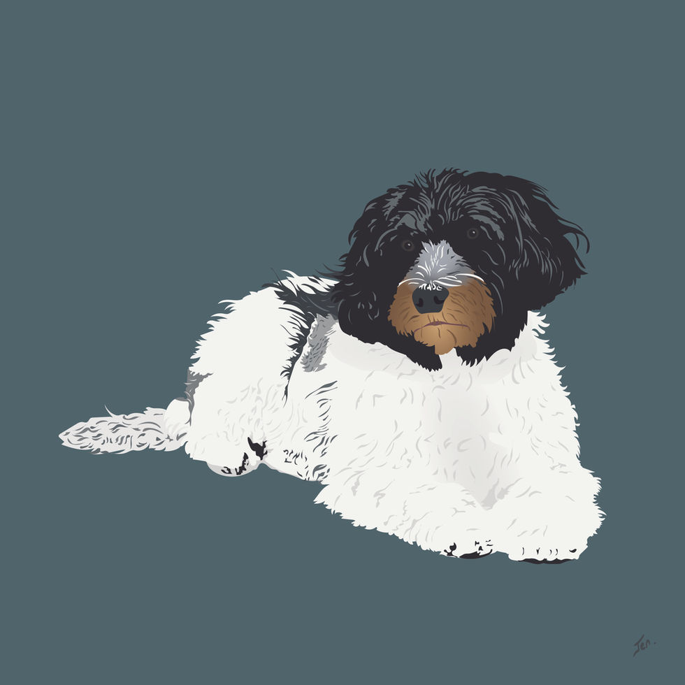 L'illustration personnalisée de votre chien. 