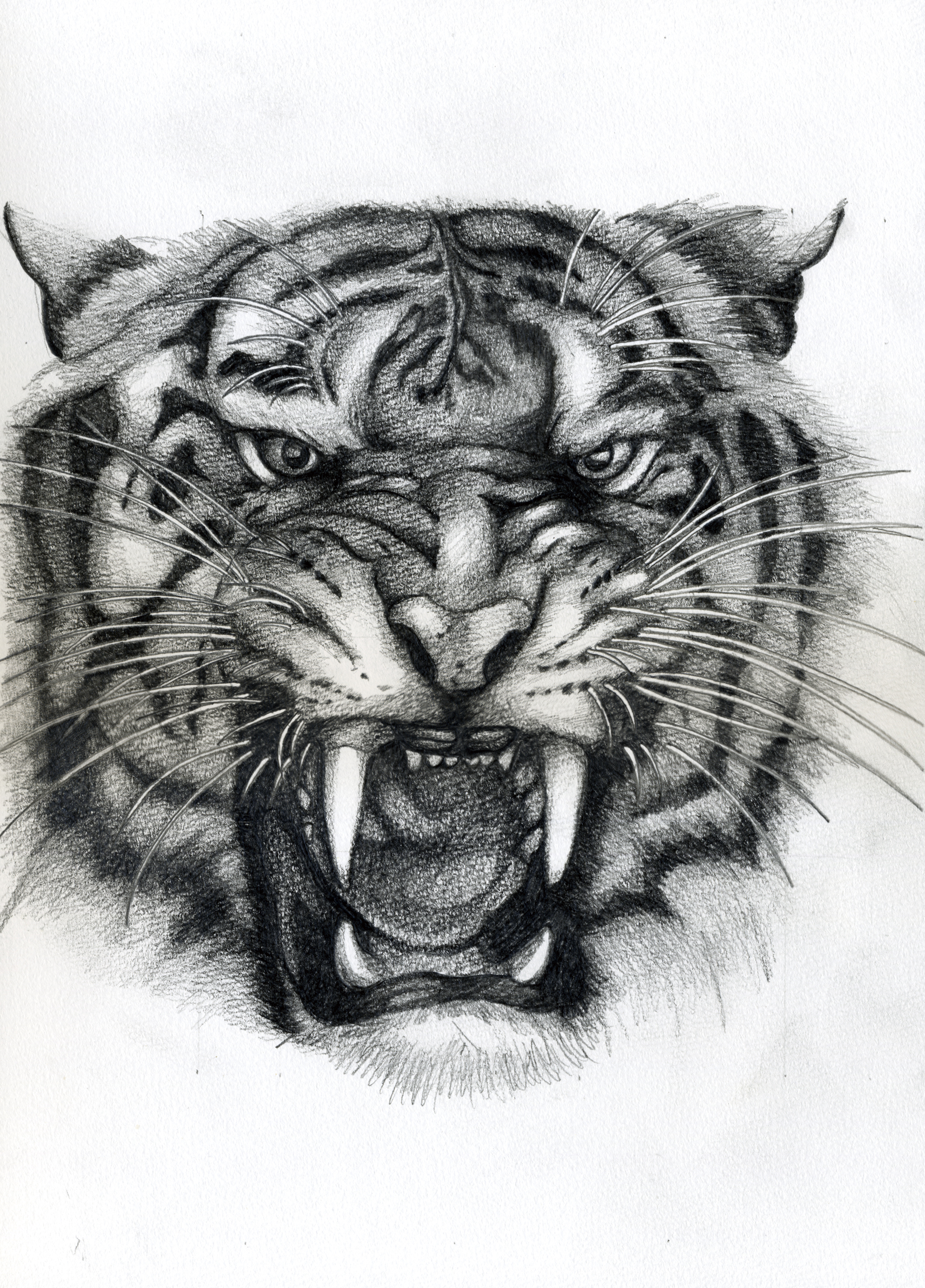 鉛筆画