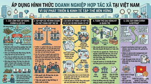 Tính khả thi của hình thức kinh doanh hợp tác tại Việt Nam