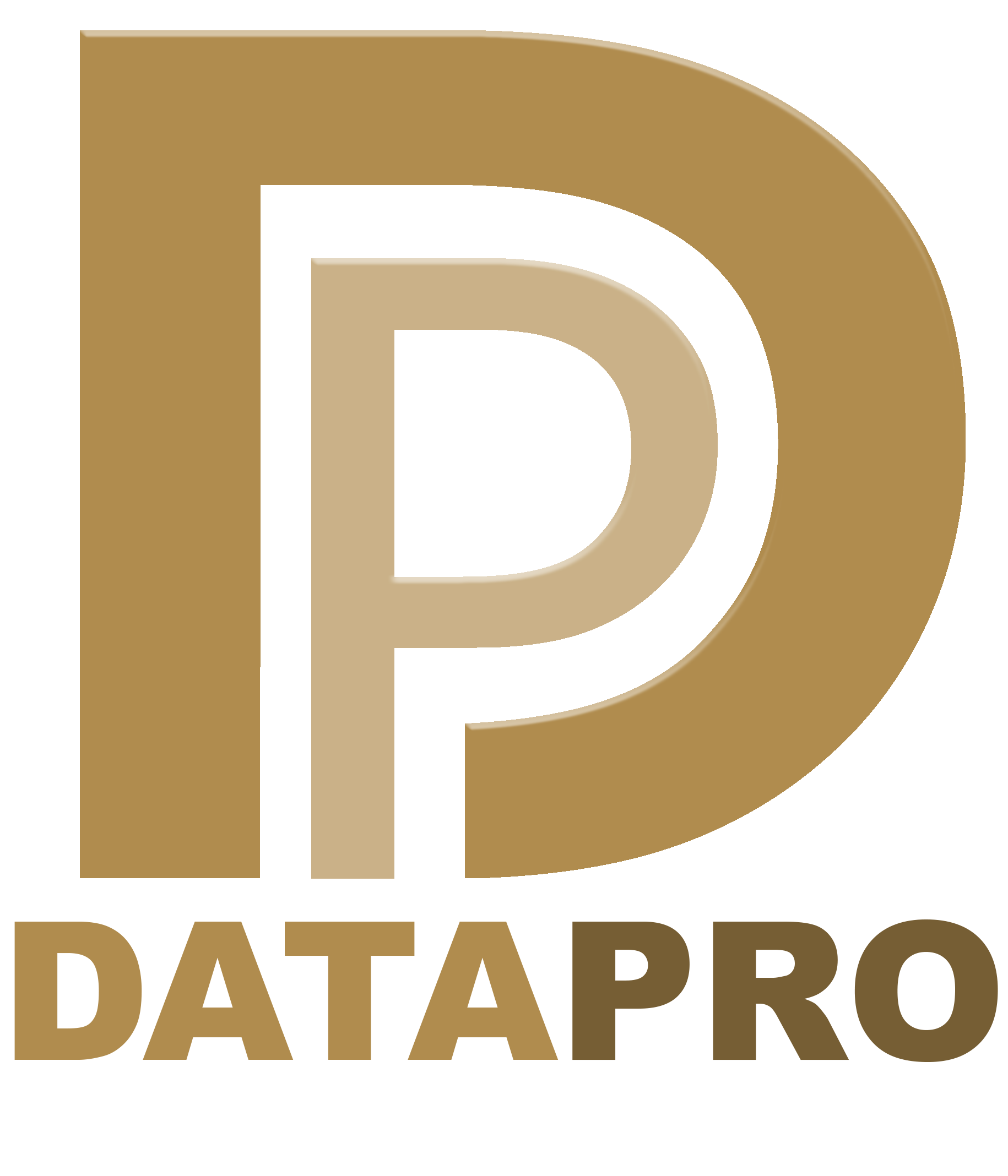 datapro_logo_transparent.png