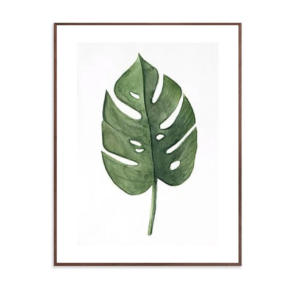 Miniatura: Floral / Plant Print
