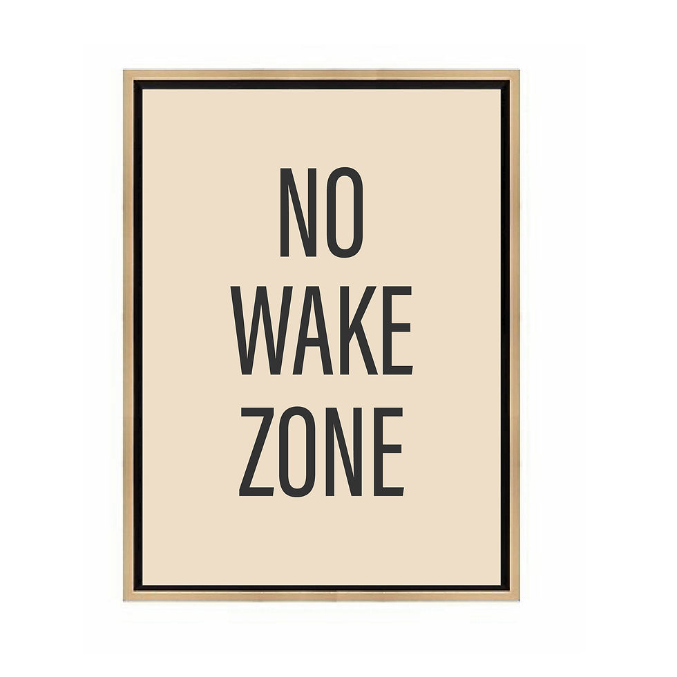 Miniatura: No Wake Zone