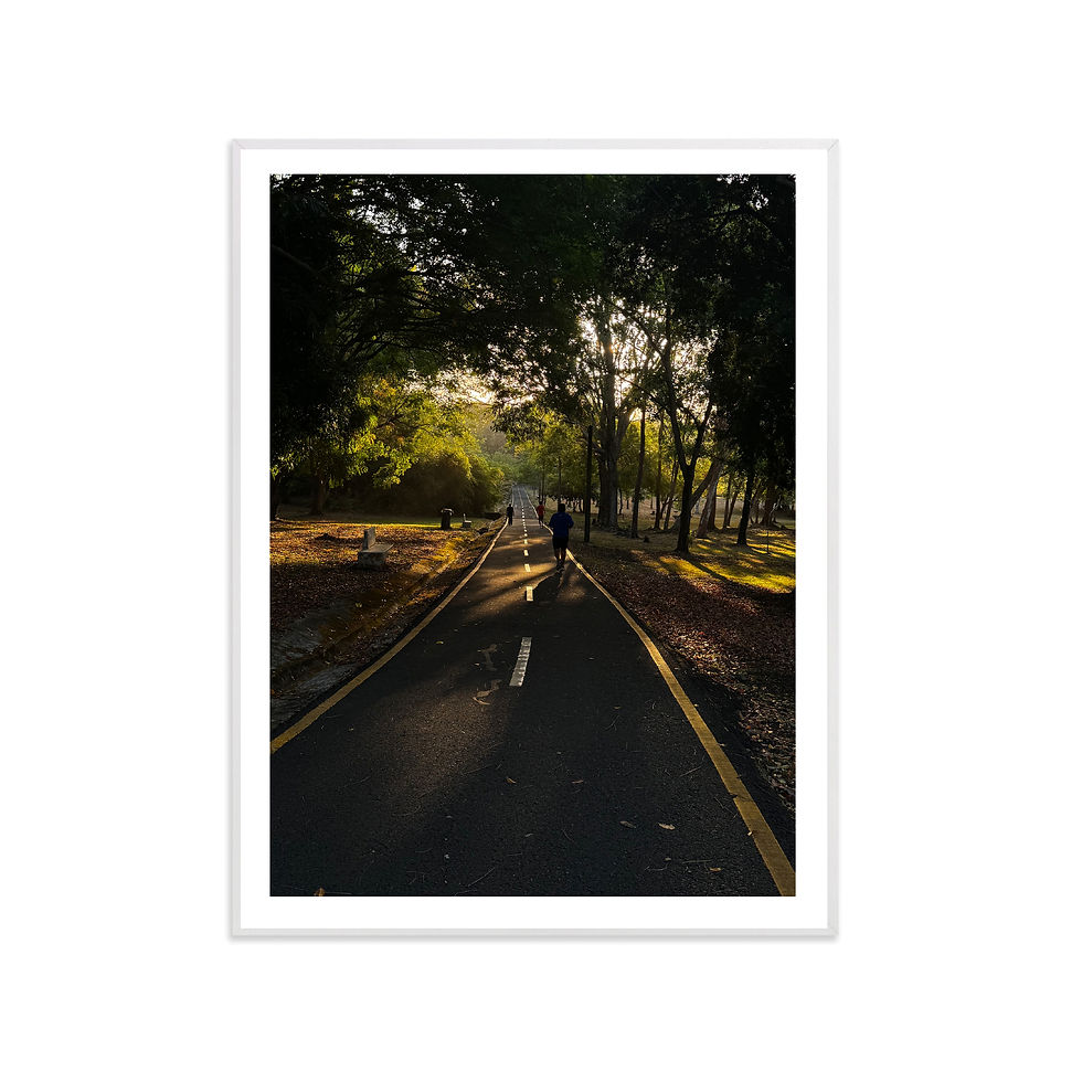 Miniatura: Camino en el parque 4