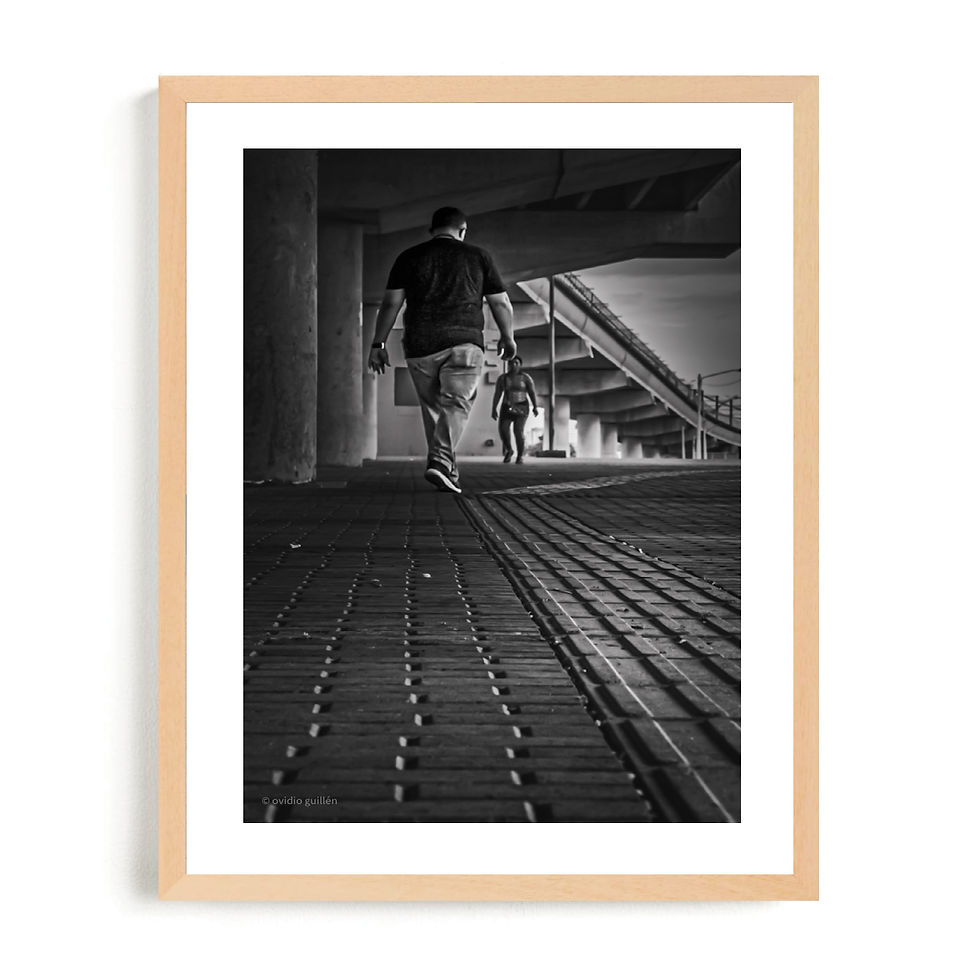 Miniatura: Fotografia / Ovidio Guillen