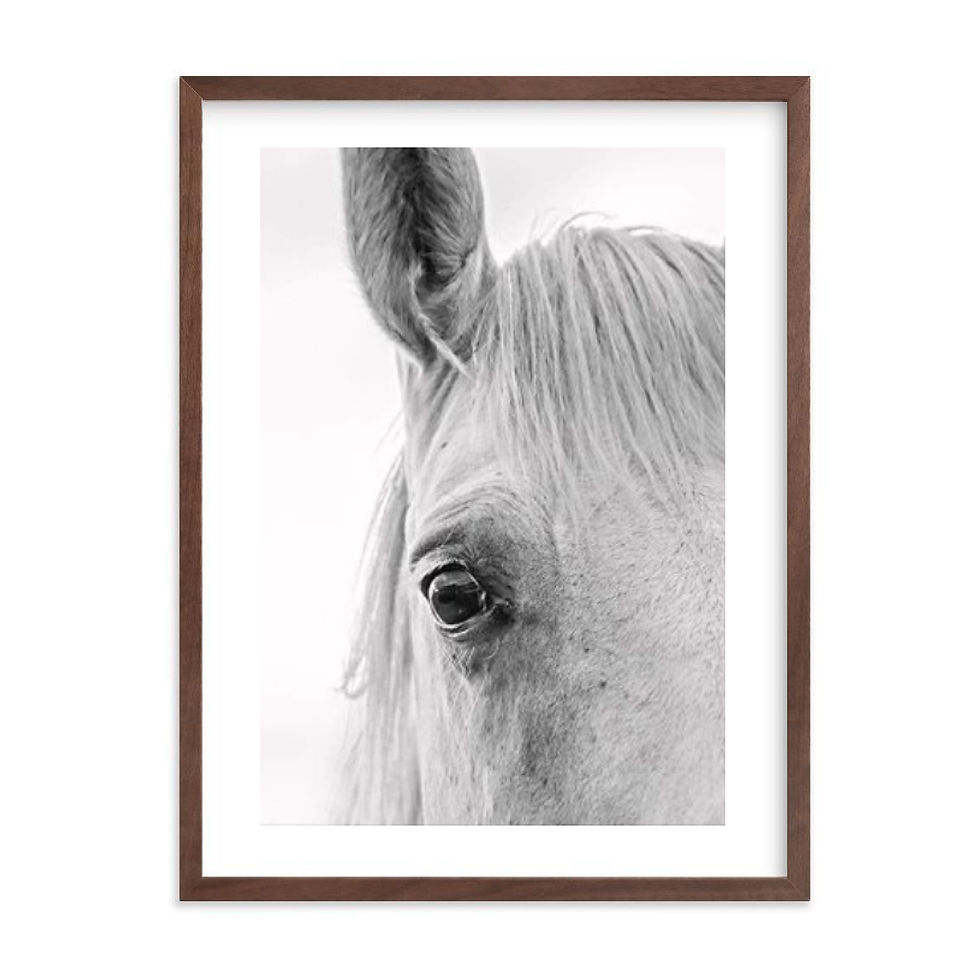 Miniatura: Caballo