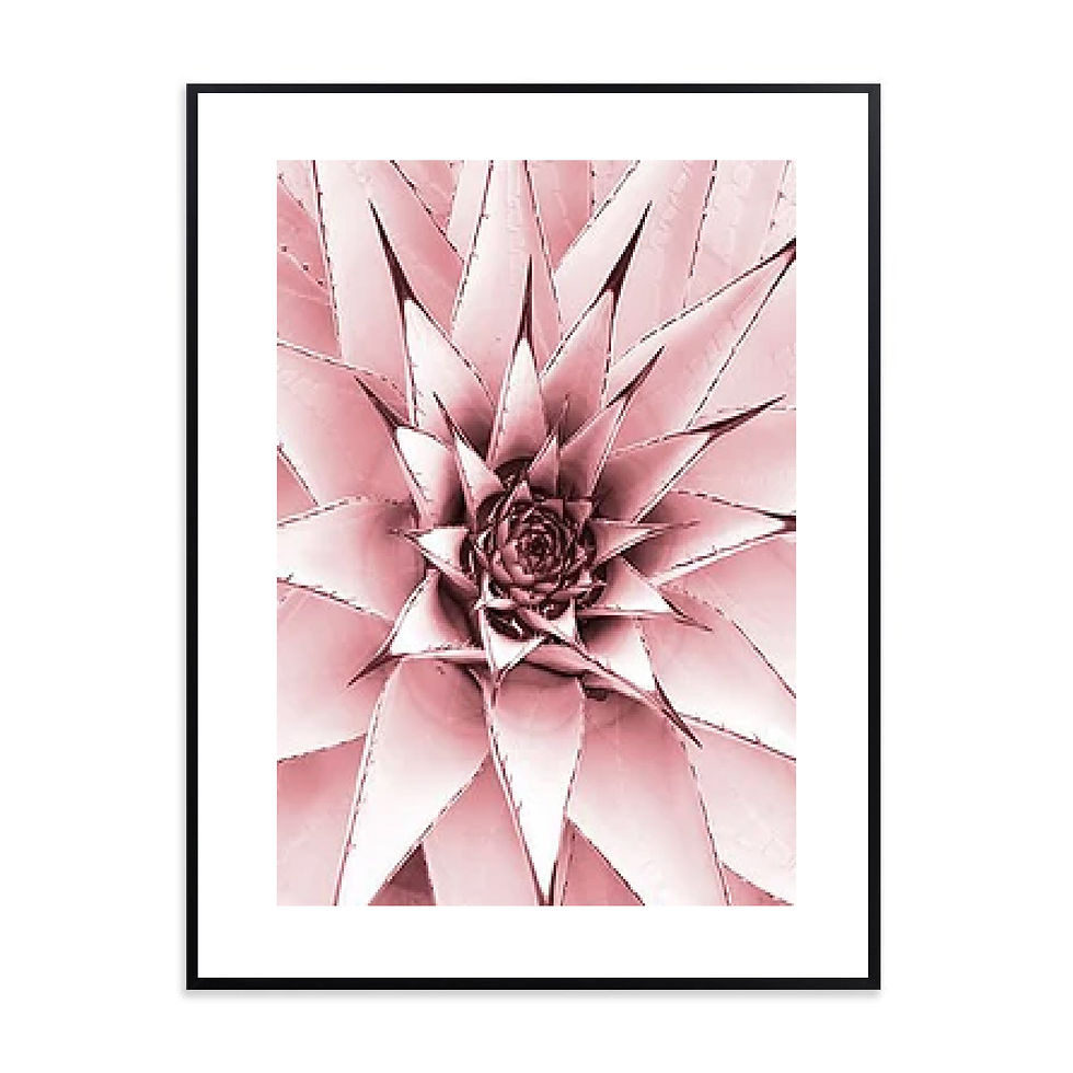 Miniatura: Floral / Plant Print