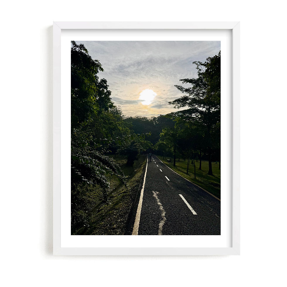 Miniatura: Atardecer en el camino