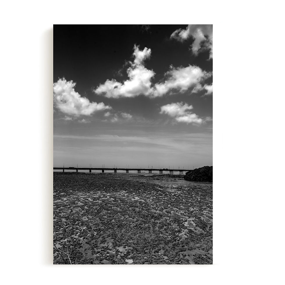 Miniatura: Fotografía Sergio Ochoa