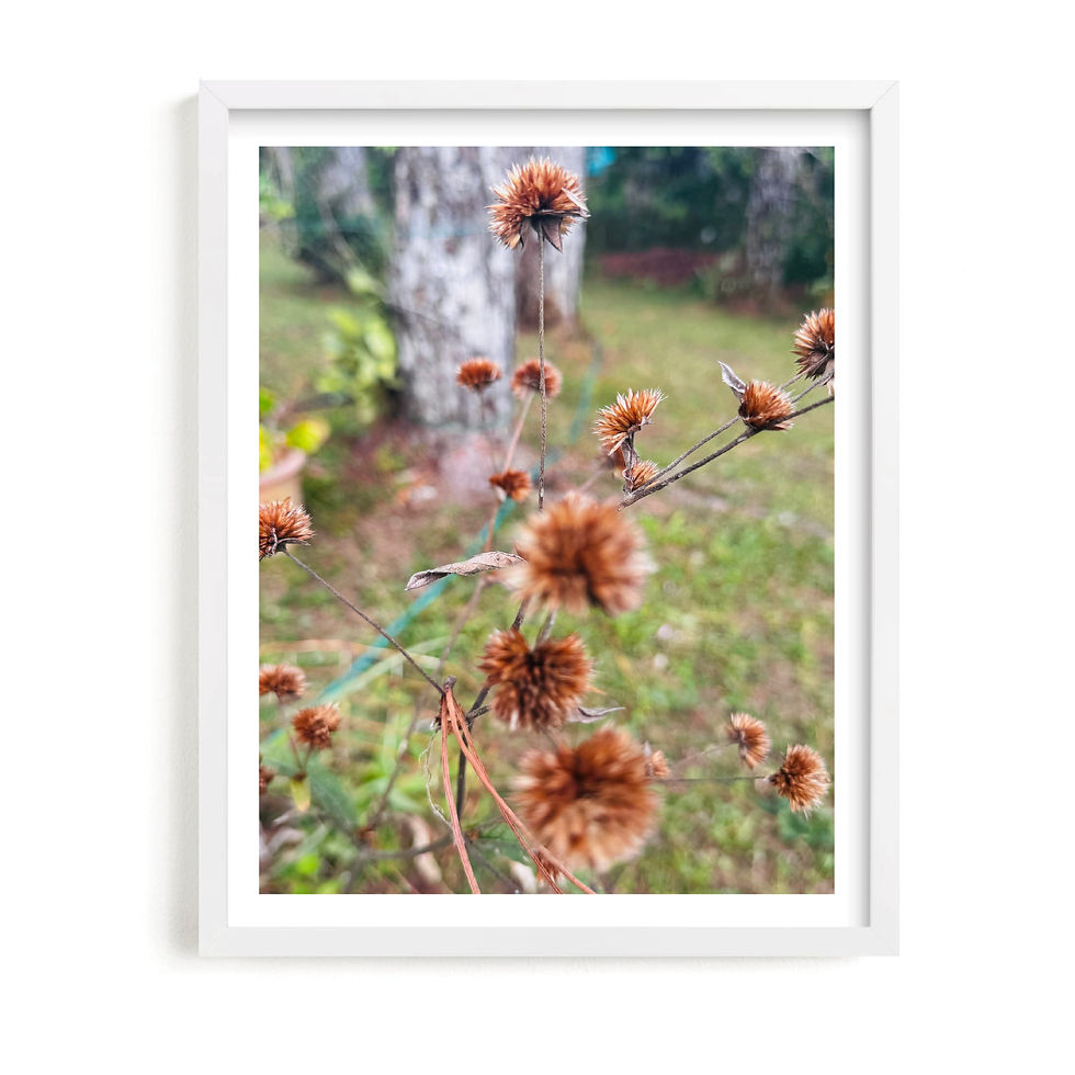 Miniatura: Flores 4