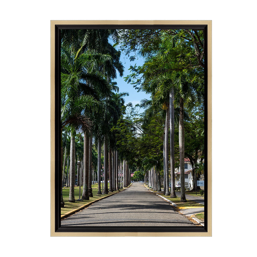 Miniatura: Fotografía Sergio Ochoa