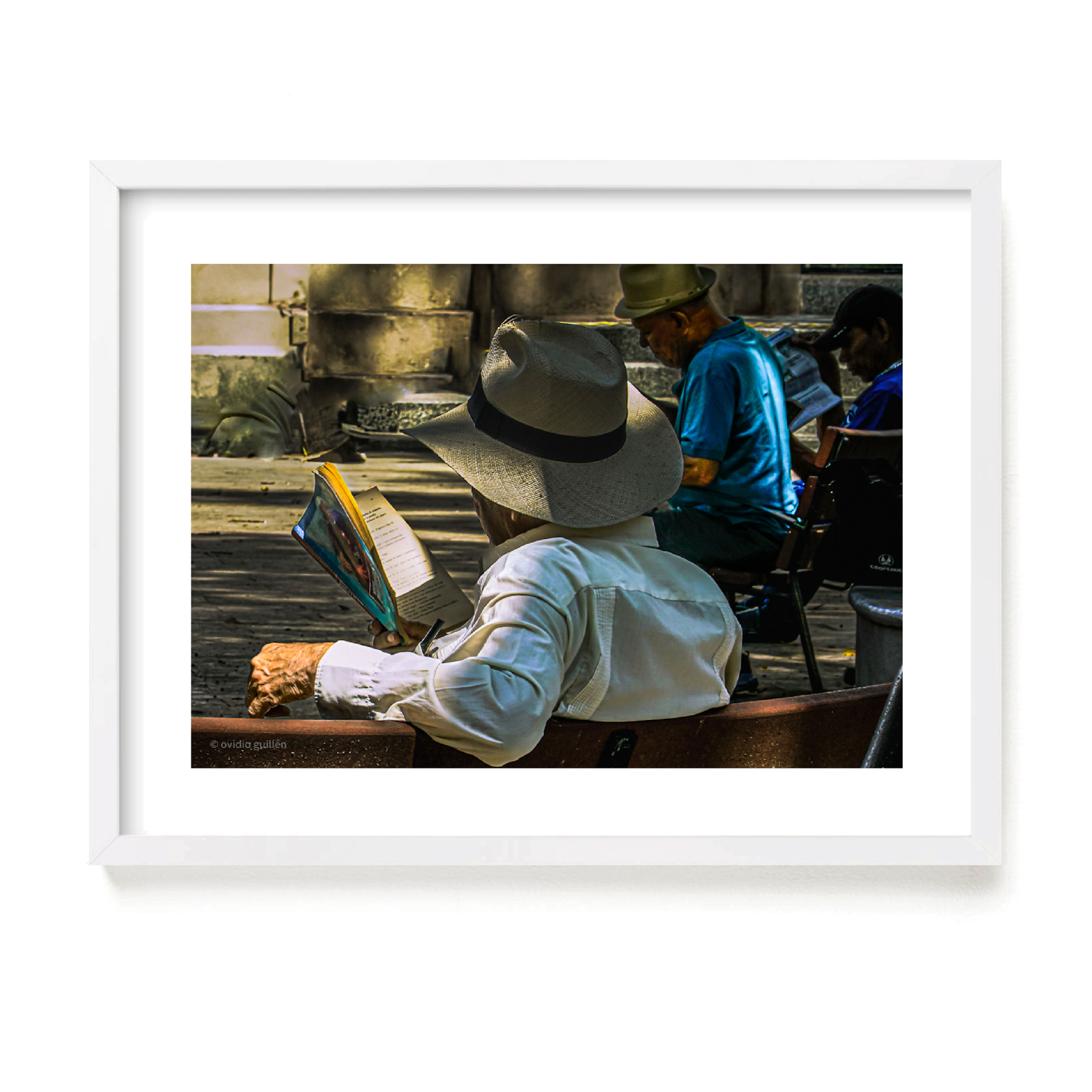 Fotografia / Ovidio Guillen