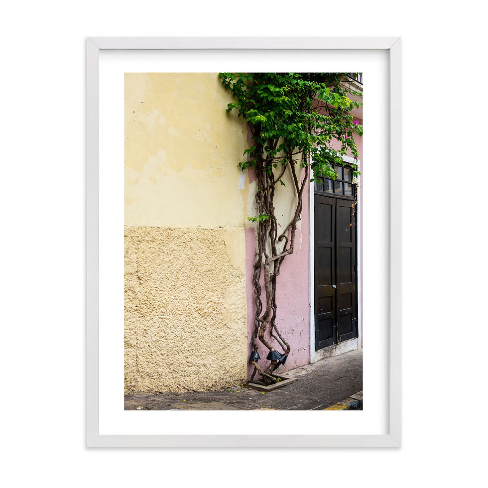 Miniatura: Fotografía Sergio Ochoa