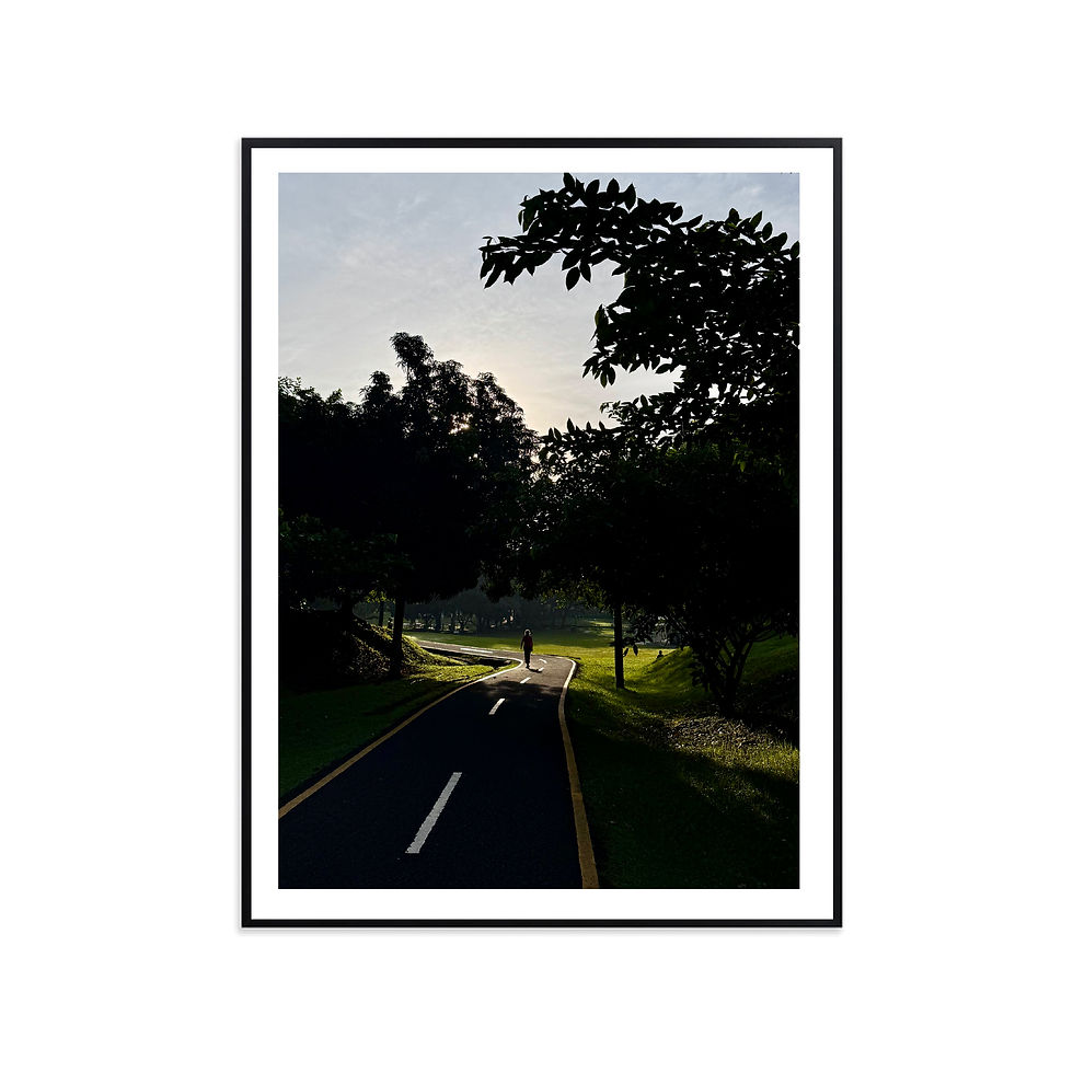 Miniatura: Camino en el parque