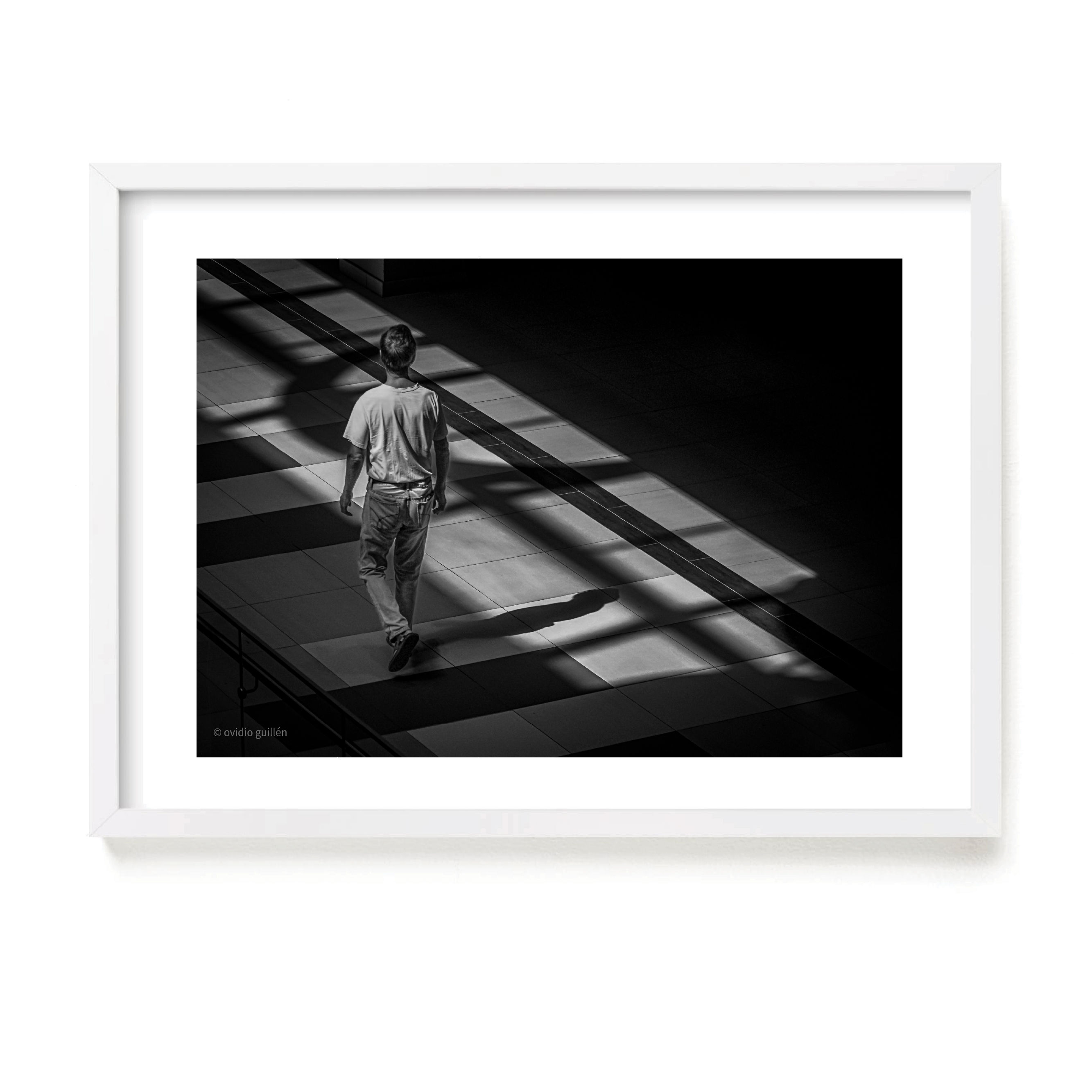 Fotografia / Ovidio Guillen