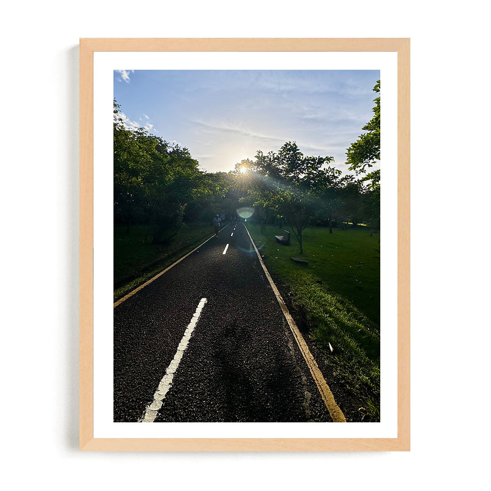 Miniatura: Atardecer en el camino 2