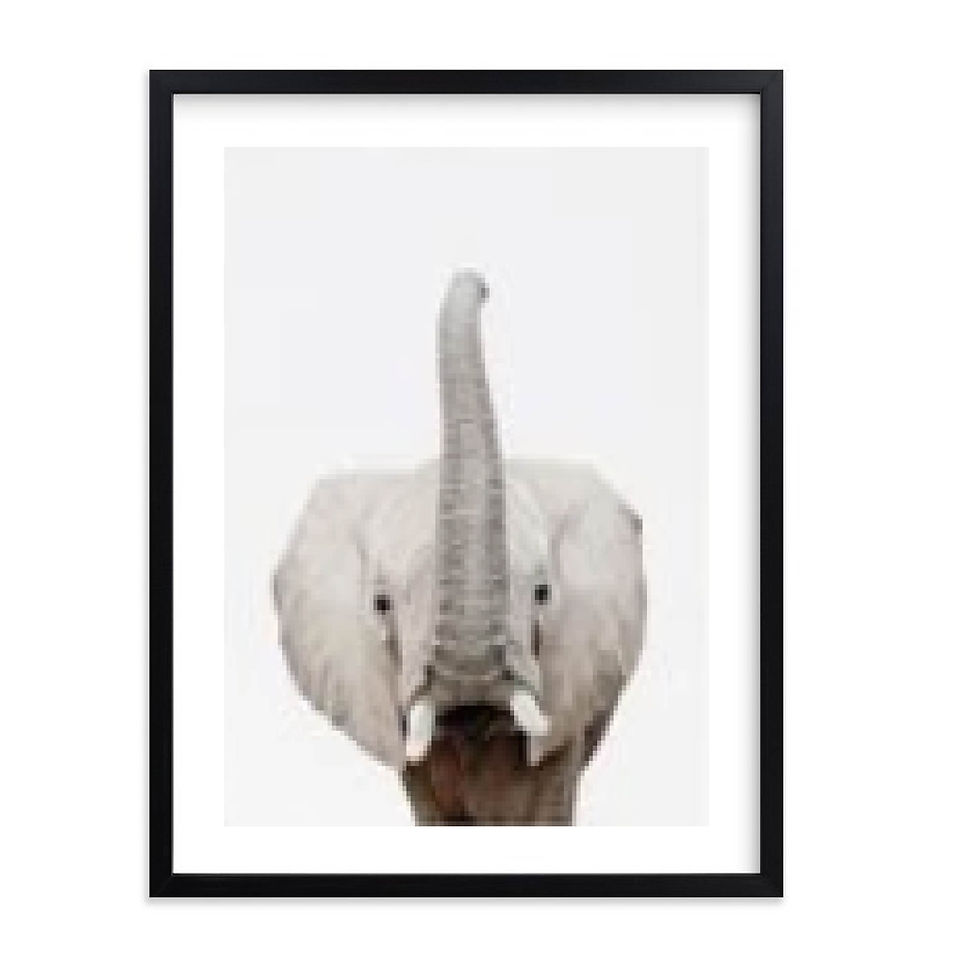 Miniatura: Elefante