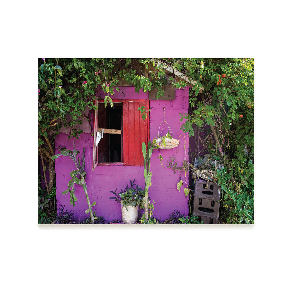 Miniatura: Fotografía Sergio Ochoa