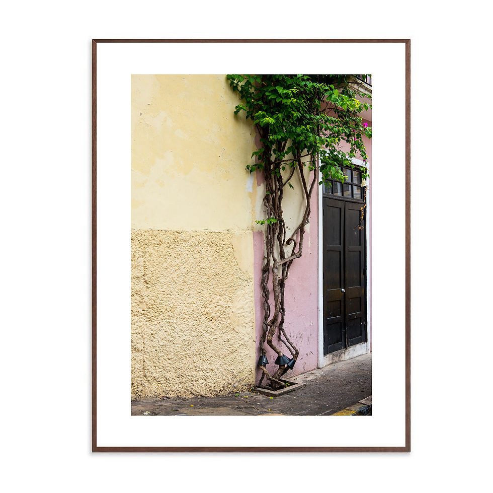 Miniatura: Fotografía Sergio Ochoa