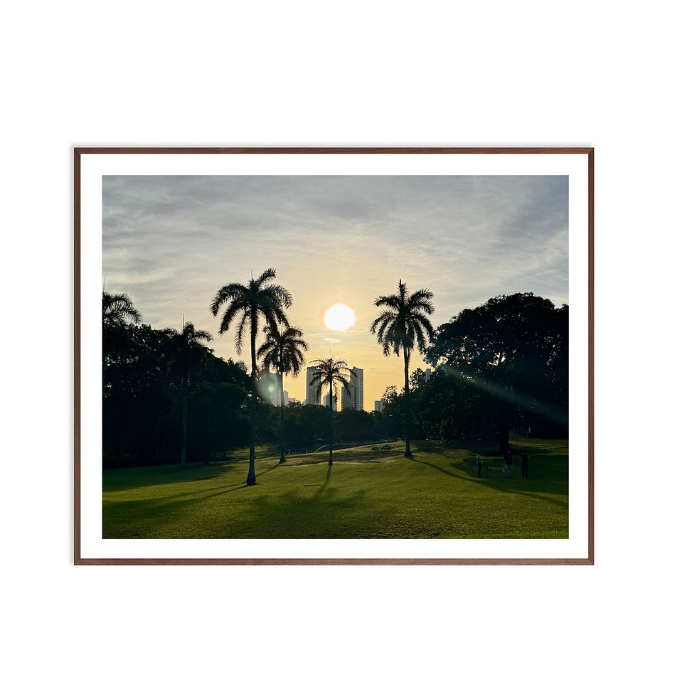 Miniatura: Amanecer en el Parque 4